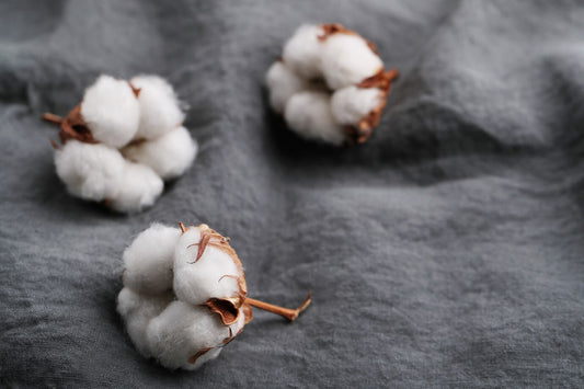 The Power of GOTS Certified Organic Cotton: Sustainable Fashion at Its Finest