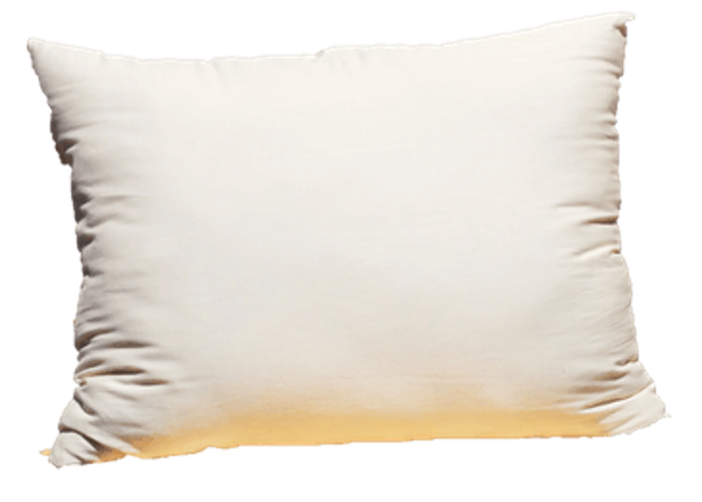 100% GOTS Organic Cotton Pillow w/zip